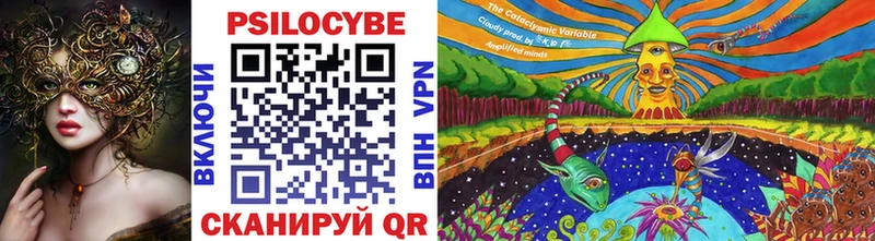 Купить где  Камызяк  Галлюциногенные грибы MAGIC MUSHROOMS 