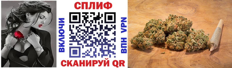 Купить  Камызяк  Шишки марихуана тримм 